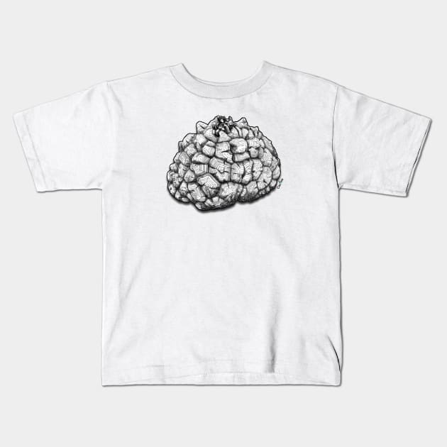 Dioscorea Elephantipes Caudex Kids T-Shirt by Cactee